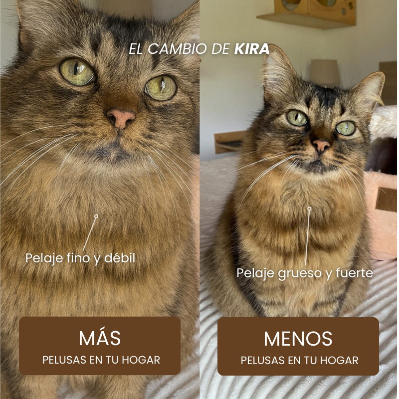 PurOmega-3 | % Alta pureza
