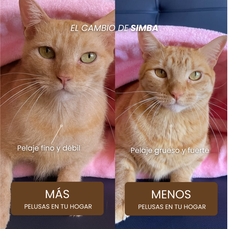 PurOmega-3 | % Alta pureza