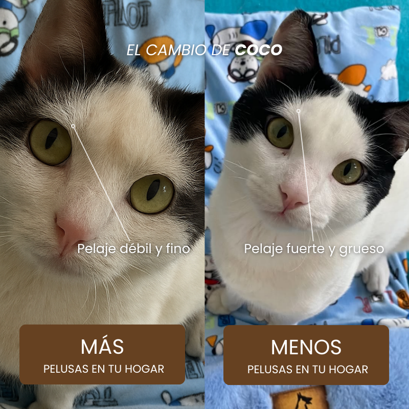 PurOmega-3 | % Alta pureza