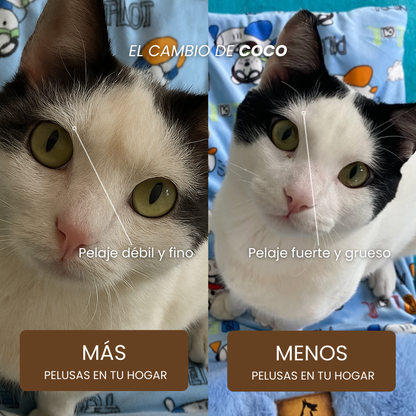 PurOmega-3 | % Alta pureza